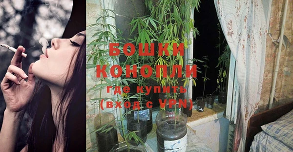гидропоника Белоозёрский