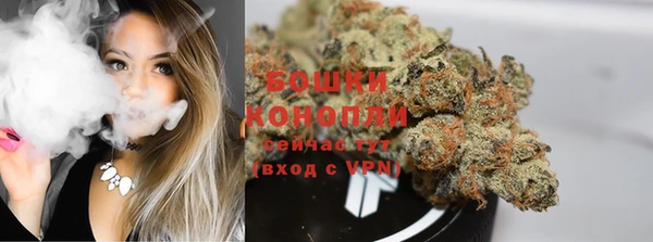 кокс Белокуриха