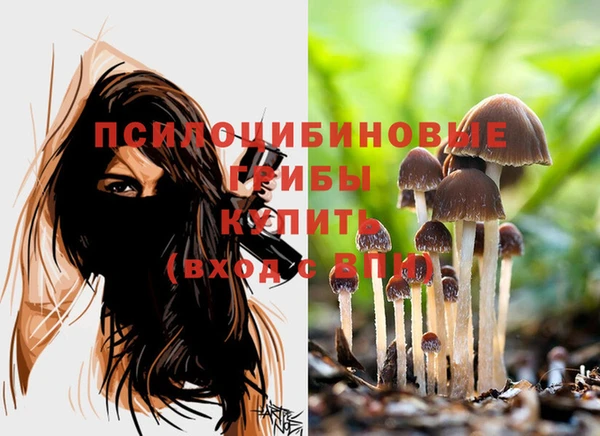 гидропоника Белоозёрский