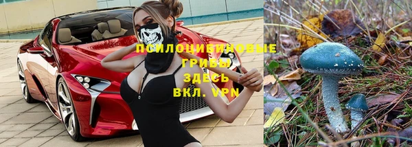 spice Беломорск