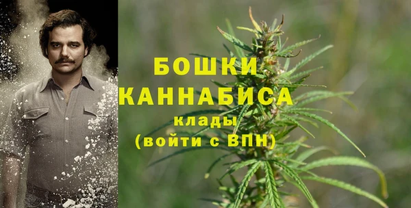 кокс Белокуриха
